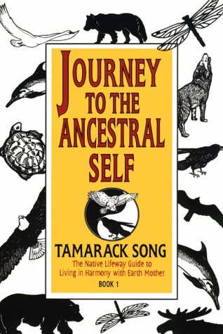 Journey to the ancestral self Cover