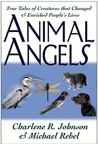 Animal Angels Cover