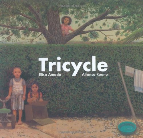 Tricycle Cover