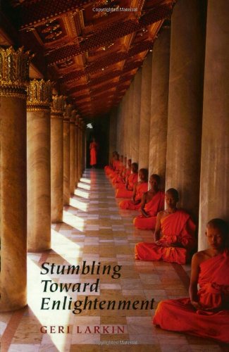 Stumbling toward enlightenment Cover