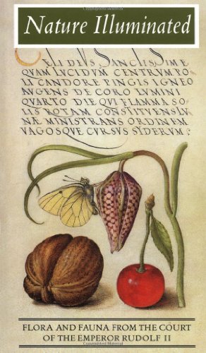 Nature illuminated Cover