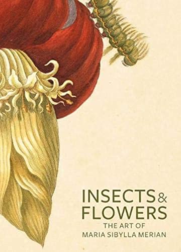 Insects & flowers Cover