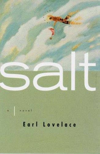 Salt Cover
