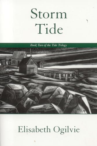 Storm Tide Cover
