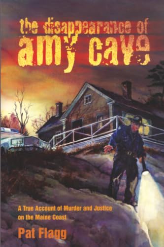 The Disappearance of Amy Cave Cover