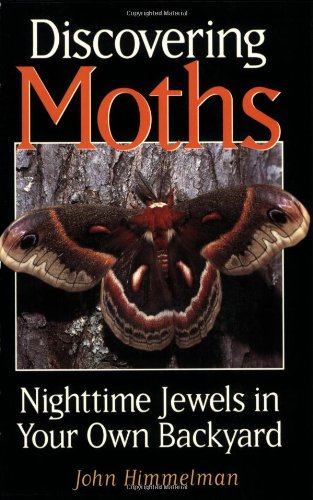Discovering Moths Cover