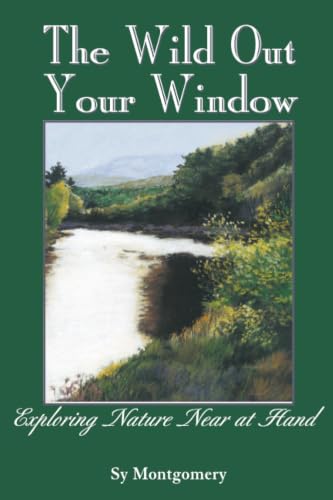 The Wild Out Your Window Cover