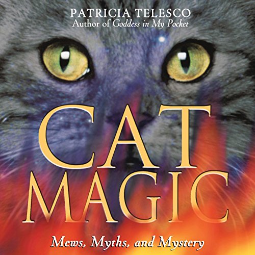 Cat Magic Cover