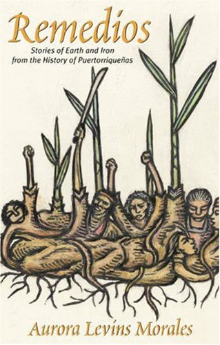 Remedios Cover