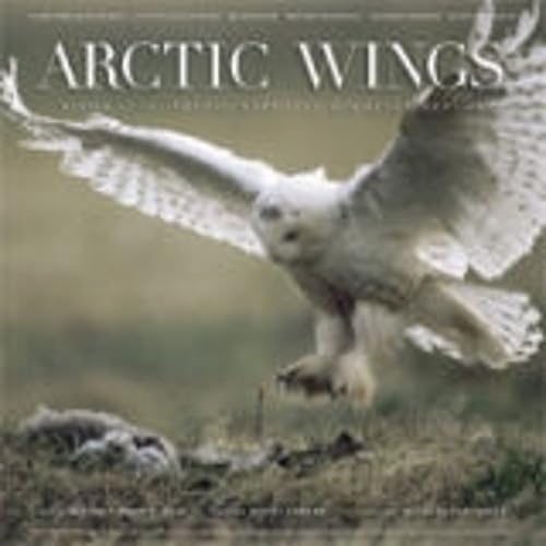 Arctic wings Cover