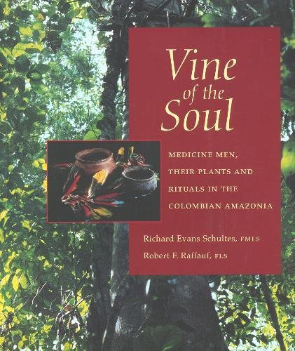 Vine of the Soul Cover