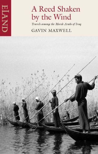 A reed shaken by the wind Cover