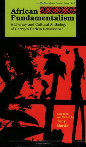 African fundamentalism Cover