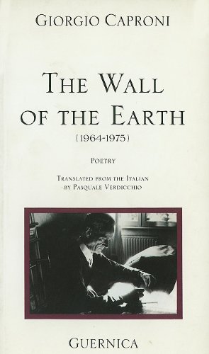 The wall of the earth Cover