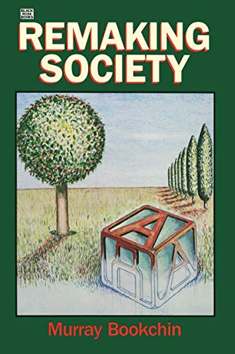 Remaking society Cover