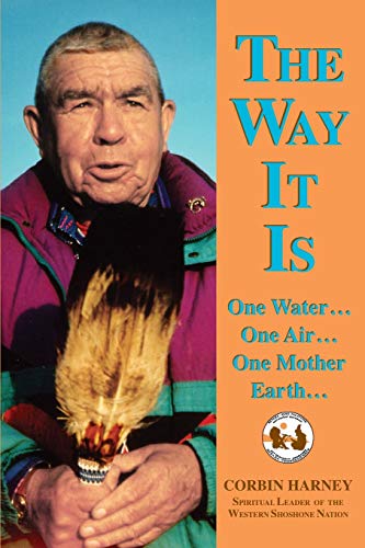The way it is Cover