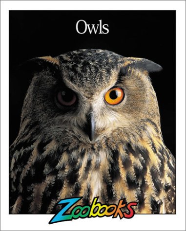 Owls Poster