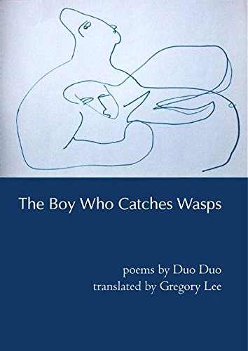 The Boy Who Catches Wasps Cover