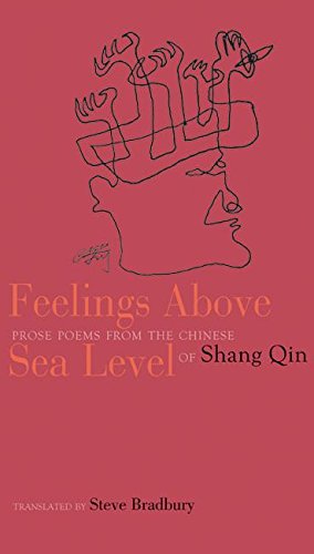 Feelings Above Sea Level Cover
