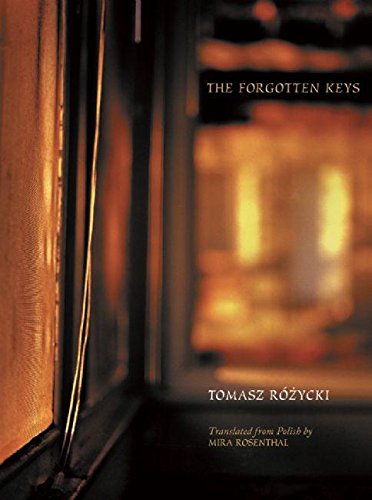 The Forgotten Keys (New Polish Writing) Cover