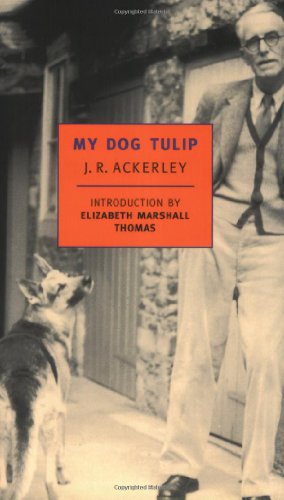 My dog Tulip Cover