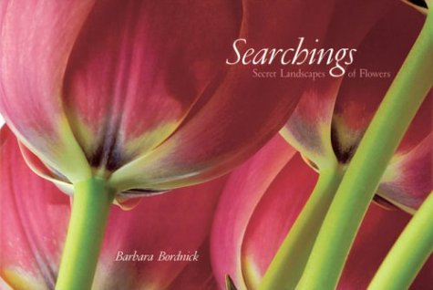 Searchings Cover