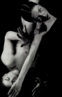 Portrait Cover