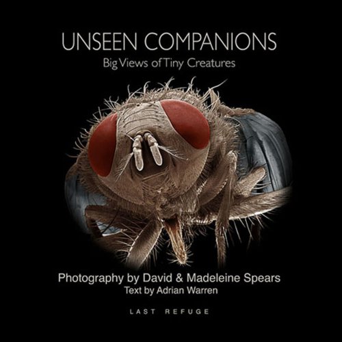 Unseen Companions Cover
