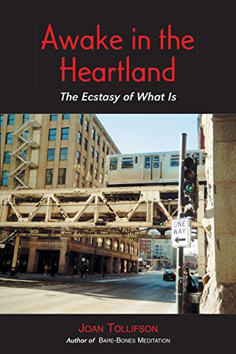 Awake in the Heartland Cover