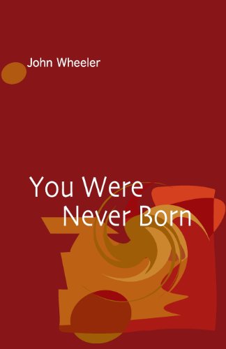 You Were Never Born Cover