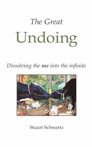 The Great Undoing Cover