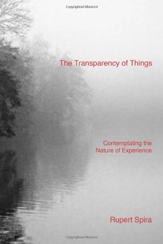 The Transparency of Things Cover
