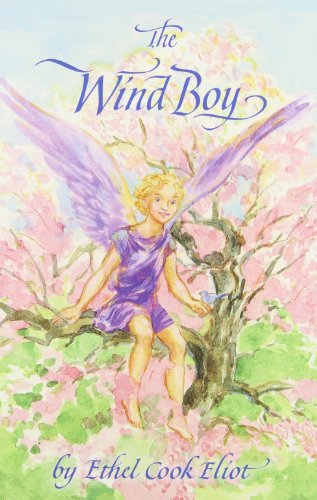The wind boy Cover