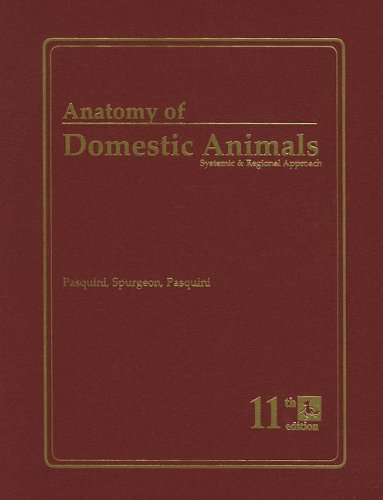 Anatomy of domestic animals Cover