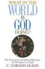 What in the World Is God Doing: The Essentials of Global Missions Cover