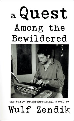 A Quest Among the Bewildered Cover