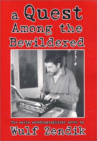 A Quest Among the Bewildered Cover