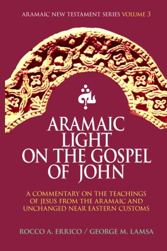 Aramaic Light on the Gospel of John Cover