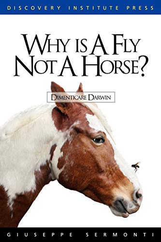 Why Is a Fly Not a Horse? Cover