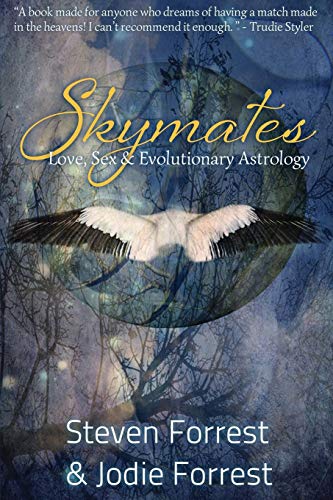 Skymates Cover