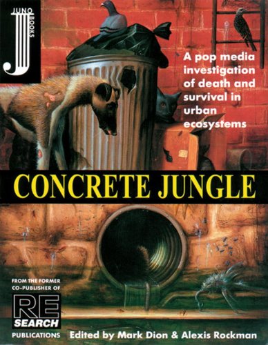 Concrete jungle Cover