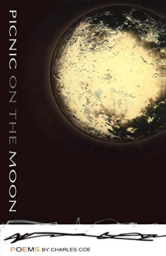 Picnic on the moon Cover