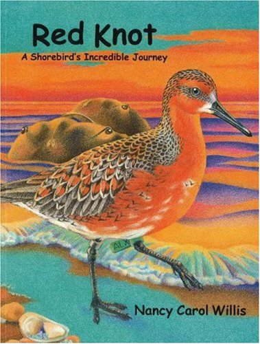 Red Knot Cover