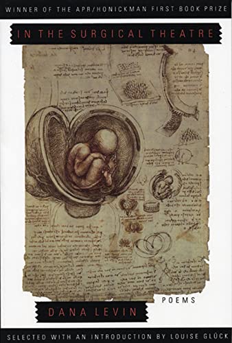 Attempted cover for Book ID: 0966339533