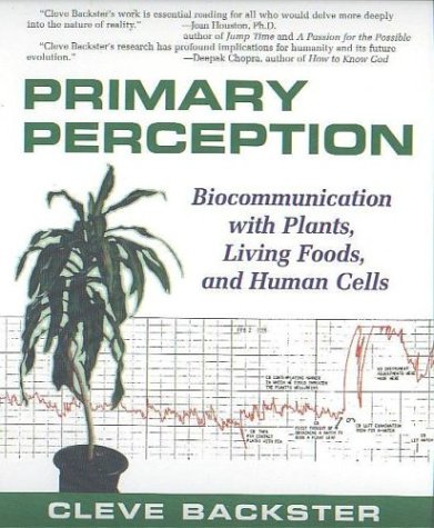 Primary Perception Cover