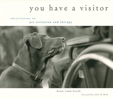You have a visitor Cover