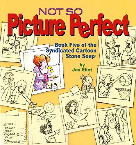 Not So Picture Perfect  Cover