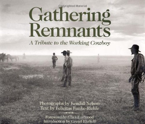 Gathering remnants Cover