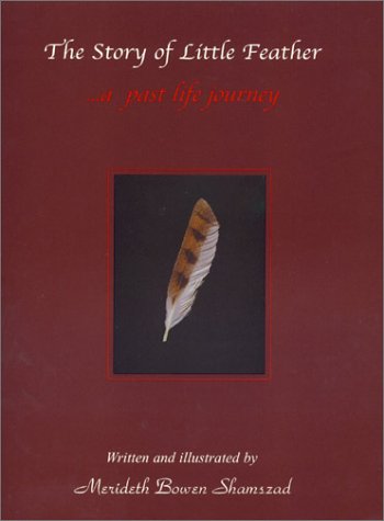 The Story of Little Feather...A Past Life Journey Cover