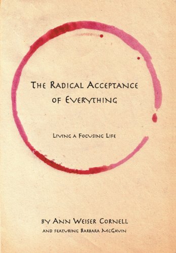 The Radical Acceptance of Everything Cover